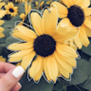 Meet your Posher, Ella